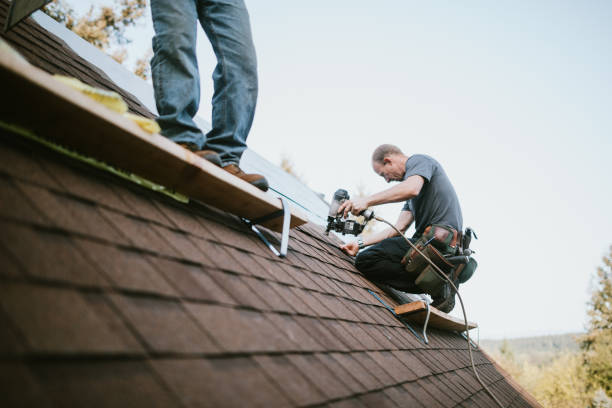 Best Roof Gutter Cleaning  in Spring Valley, WI